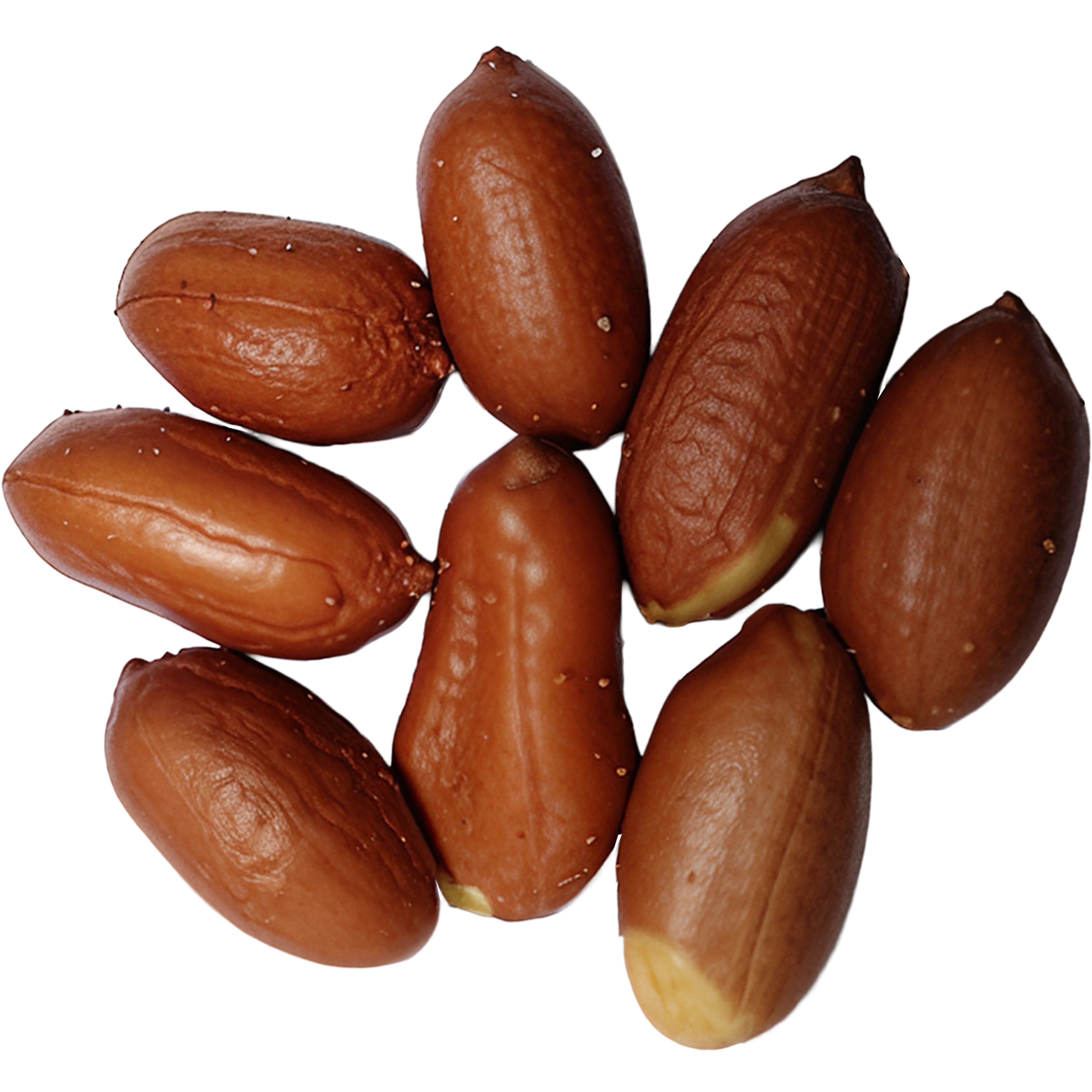 Oil-Roasted Peanuts